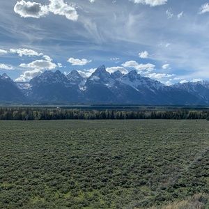 Meet your Posher, Brayden